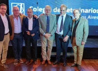 Reconocimiento y emoción