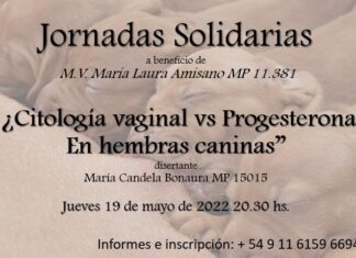 Jornadas Solidarias: Citología Vaginal vs Progesterona en hembras caninas