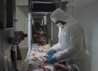 SENASA prohíbe el uso de estradiol en animales que se exporten a Europa SENASA prohíbe el uso de estradiol en animales que se exporten a Europa.