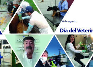 Una profesión indispensable