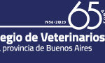 300x90px