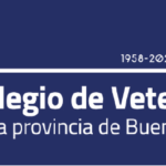 Header corregido