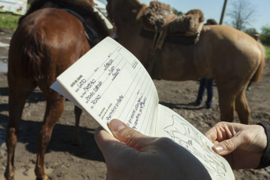 Libreta sanitaria equina anemia infecciosa equina septiembre 2023