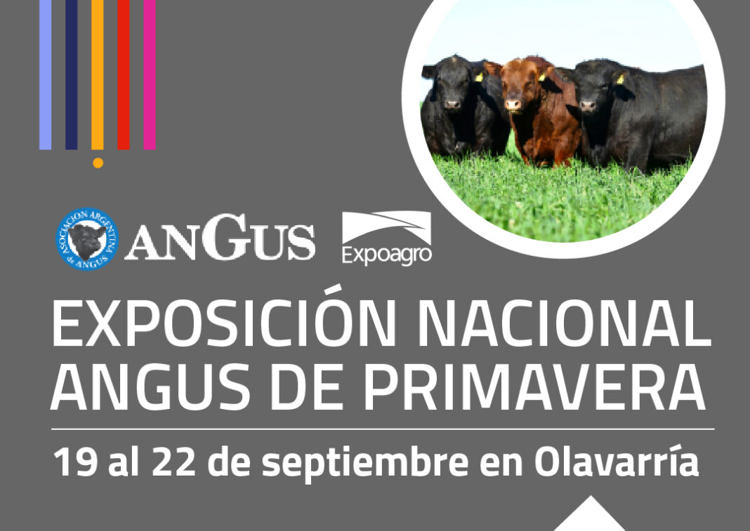 09-expoangus-Paolicchi-feed (2)