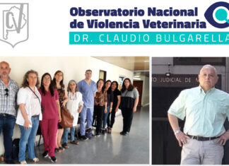 Juicio oral por la causa de violencia y lesiones contra el MV Claudio Bulgarella