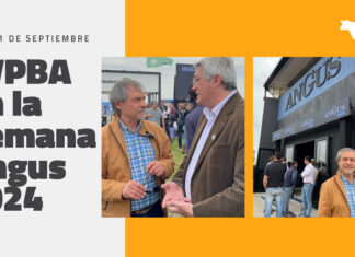 Participación del CVPBA en la Semana Angus 2024