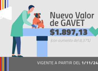 GAVET – Nuevo valor