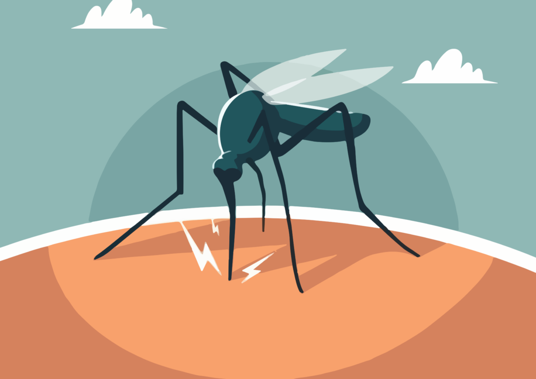 Dengue