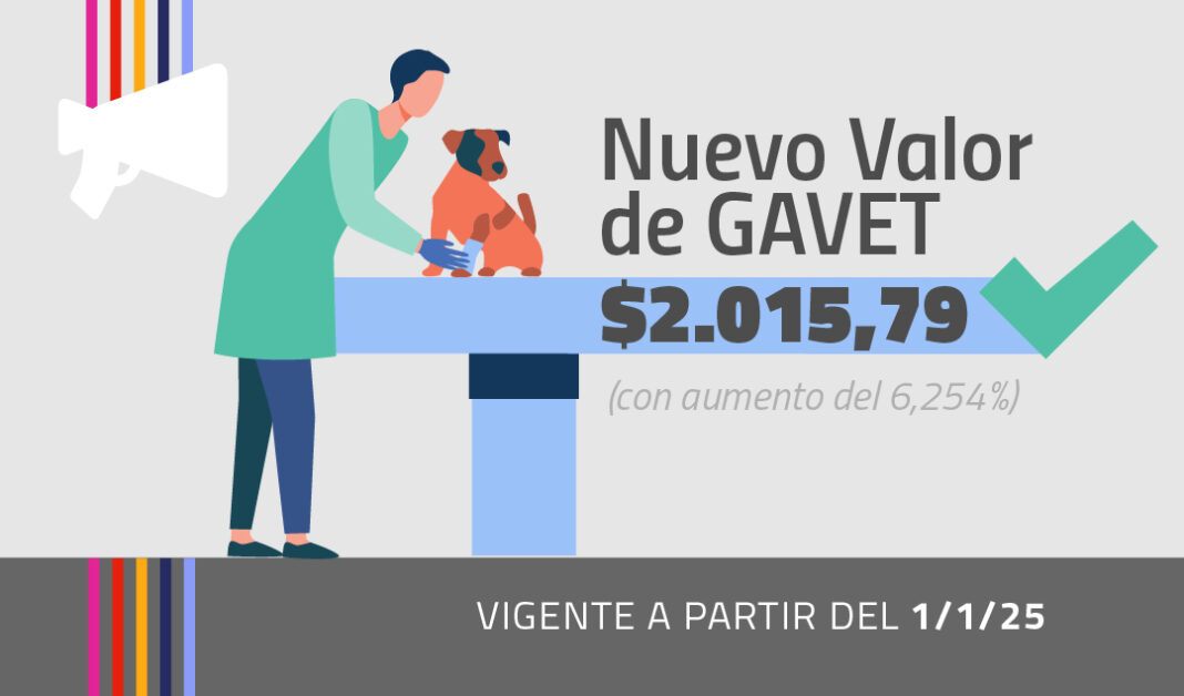 012-GAVET-DIC24-web