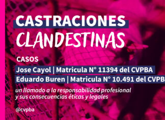 Responsabilidad veterinaria en castraciones ilegales