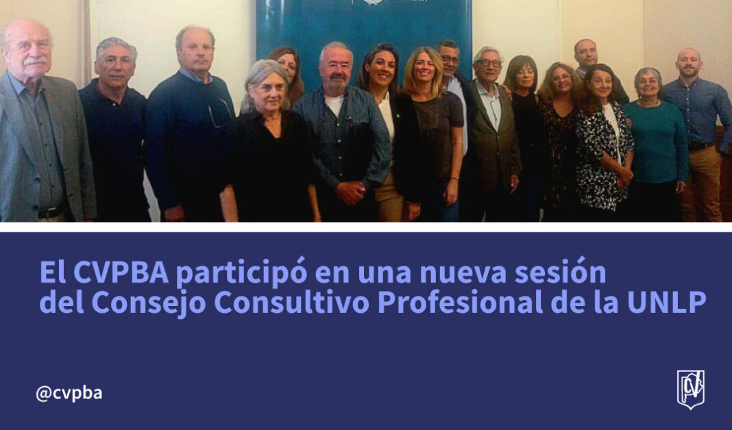 consultivo web-04