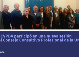 El CVPBA en una nueva sesión del Consejo Consultivo Profesional de la UNLP