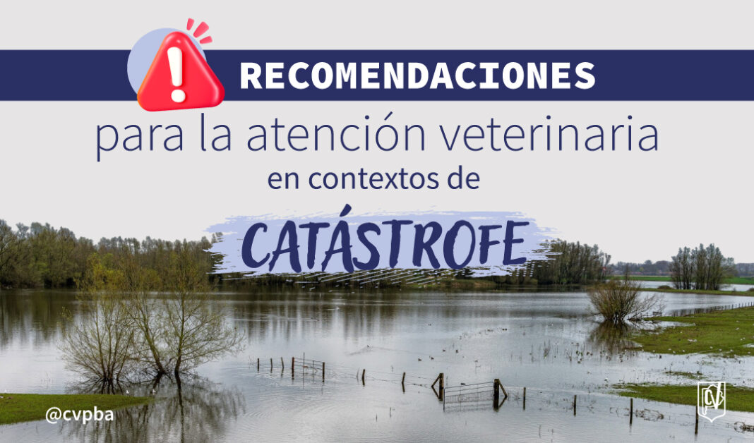 recomendaciones-07