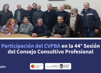 Participación del CVPBA en la 44° Sesión del Consejo Consultivo Profesional
