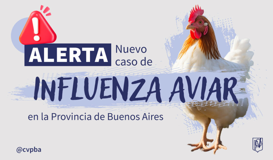 INFORMATIVO influenza aviar-04