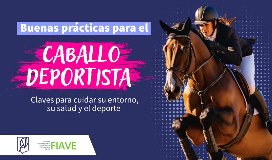 CUIDADOS DE CABALLOS-08