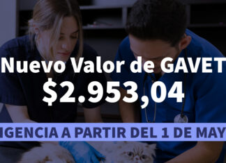 Actualización GAVET