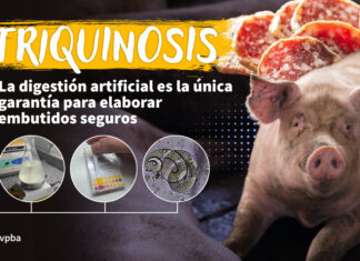 Muestreo preventivo de triquinosis: la digestión artificial es la única garantía para elaborar embutidos seguros
