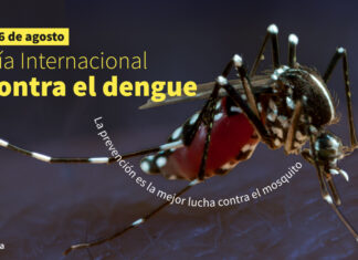 26 de agosto: Día Nacional de la Lucha contra el Dengue