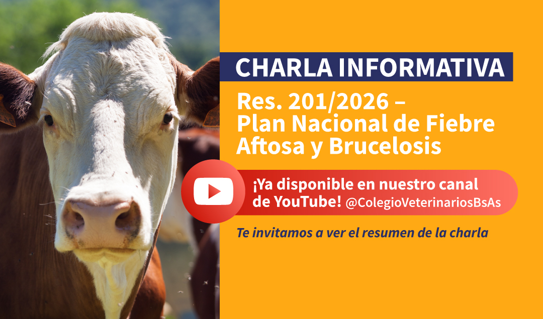Resumen: Aplicación de la Resolución N° 201/2026