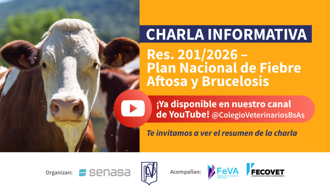 charla youtube-03