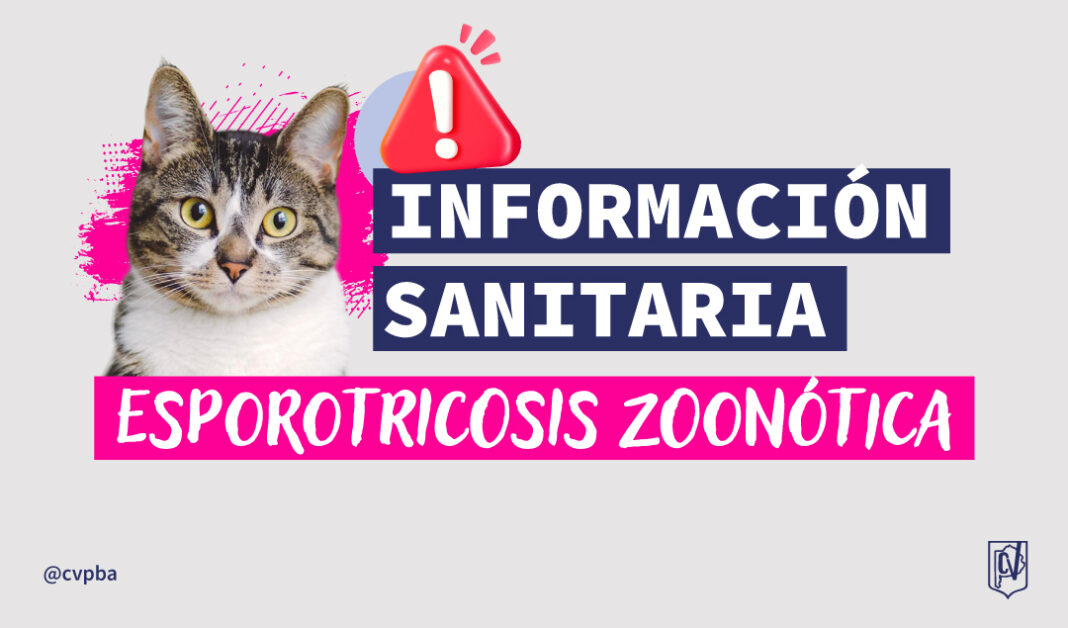 info sanitaria esporotricosis-05