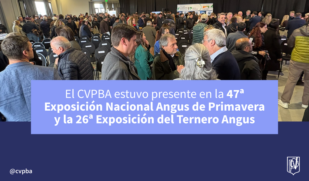 CVPBA: 47ª Exposición Nacional Angus de Primavera y la 26ª Exposición del Ternero Angus
