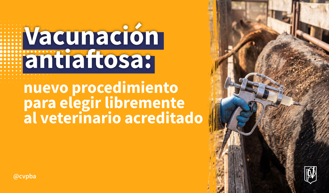 Senasa – Nuevo reglamento